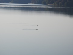 同じスピードで！