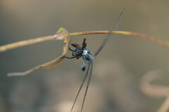 食事タイム