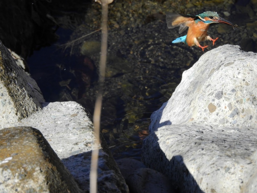 よっこらしょ！