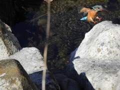 よっこらしょ！