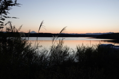 多摩湖の夕暮れ2