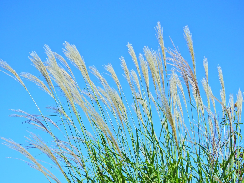 2017.秋バージョン！