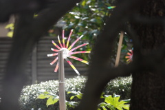 手作りの涼しさ