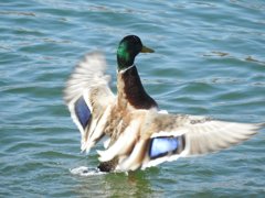 寒いけど水遊び！