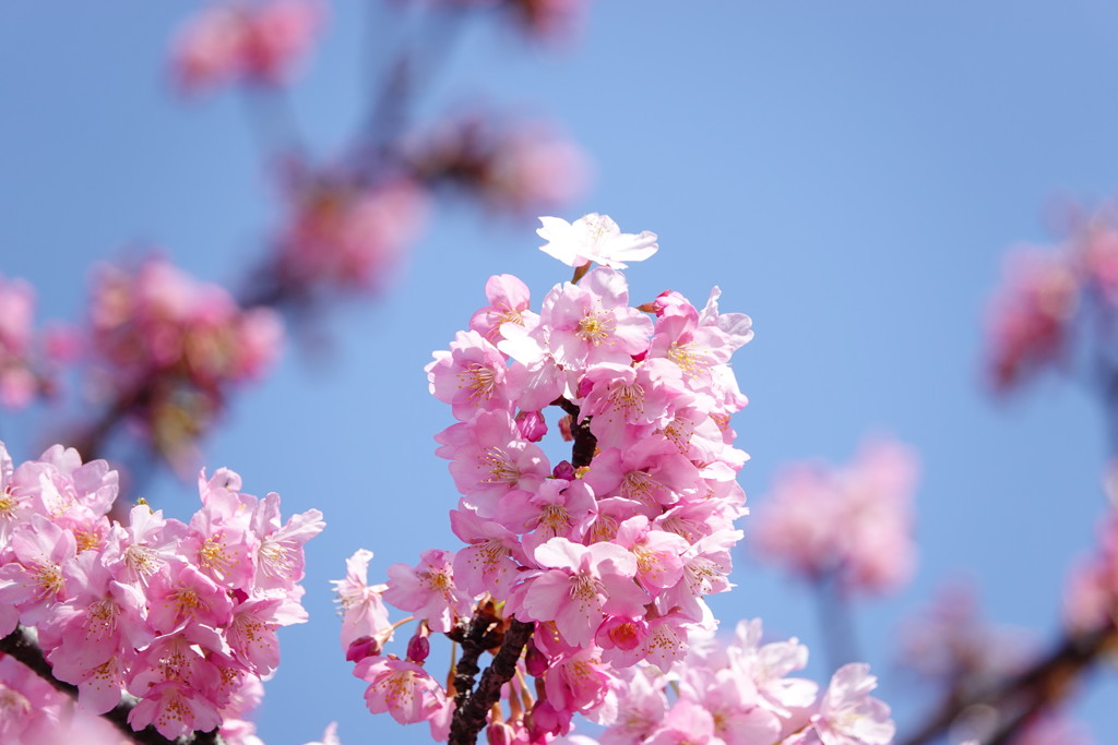 みんなに支えられて！