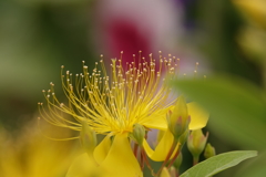 きれいですね！