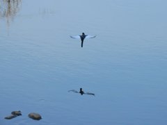 飛びもの挑戦中！2