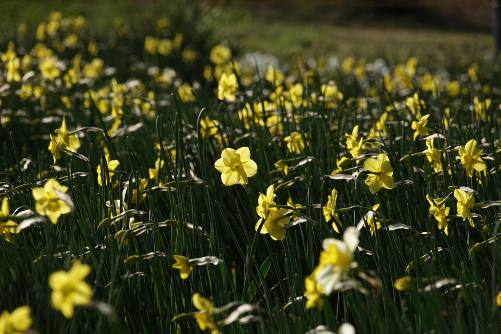 世界の中心で！