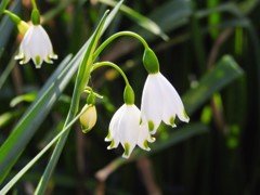 今日の1枚！2018.0401!