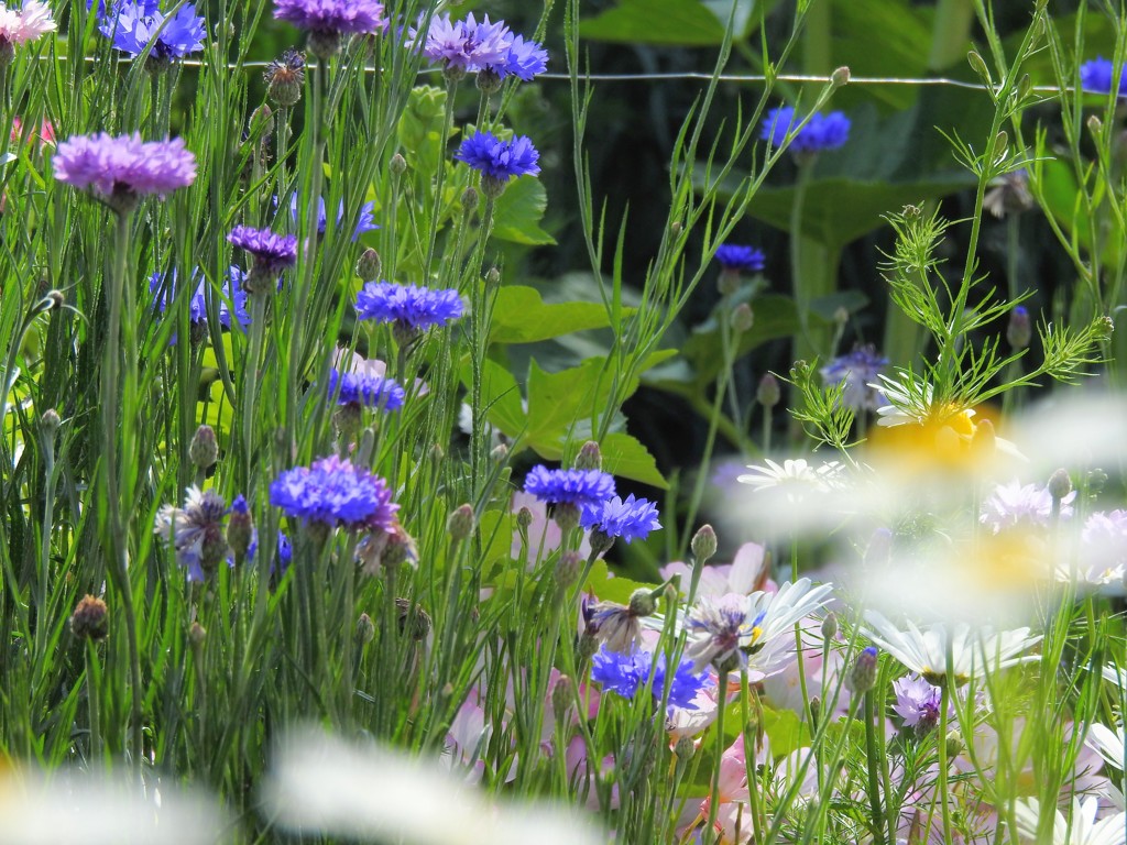 初夏の陽気ですね！