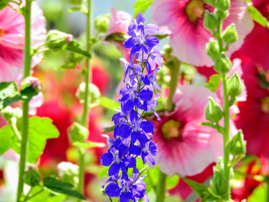 初夏の陽気に誘われて！