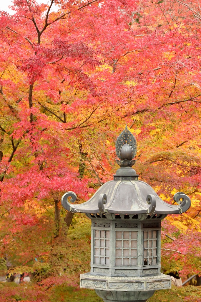 灯篭紅葉