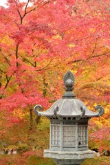 灯篭紅葉