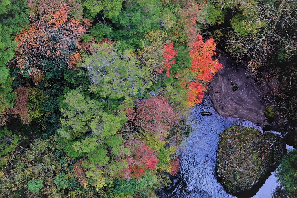 紅葉と小川