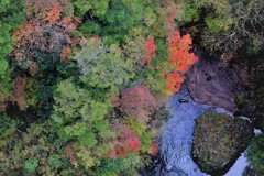 紅葉と小川