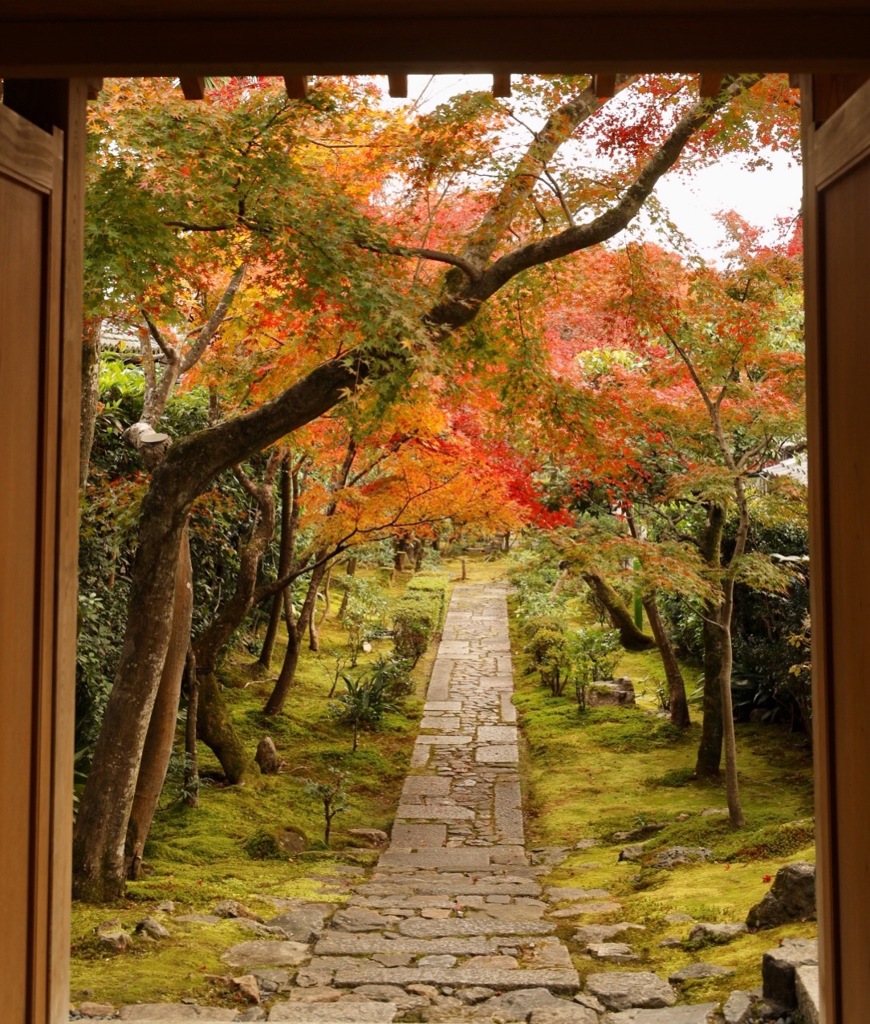 紅葉広がる秋の京都