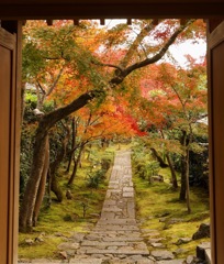 紅葉広がる秋の京都