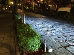 夜、祇園