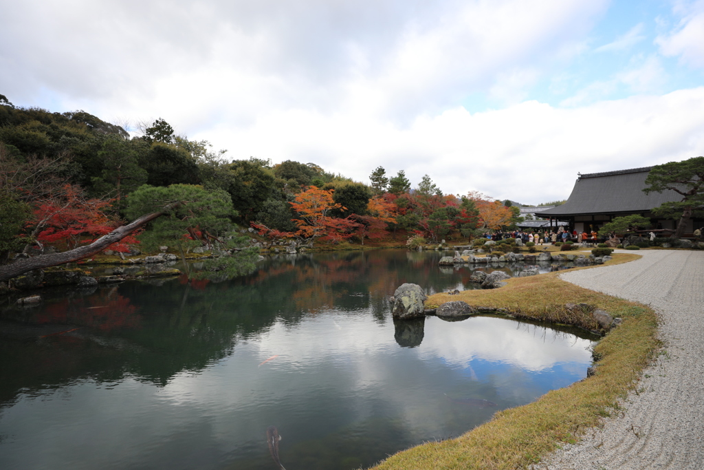 広がる紅葉