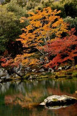 深まる紅葉