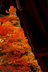ひとつ屋根の下