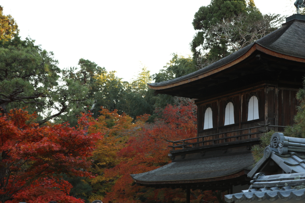 秋深まる銀閣寺