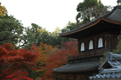 秋深まる銀閣寺