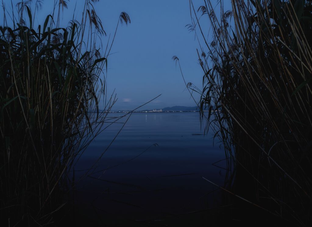 水草の間に