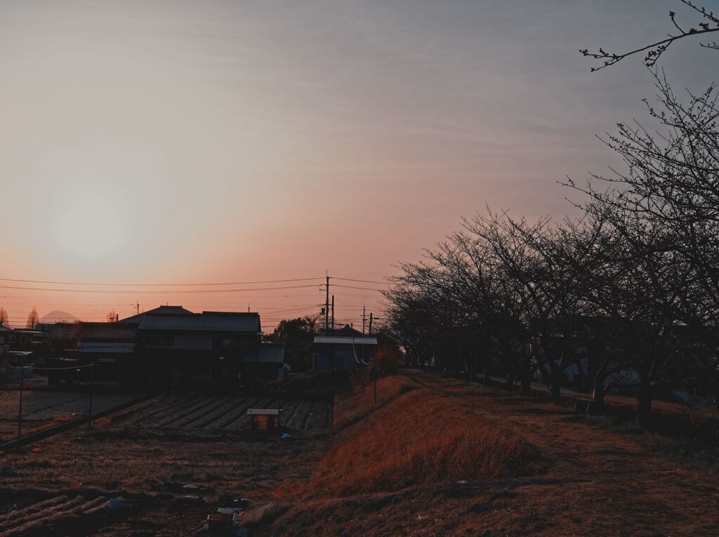 朝の風景