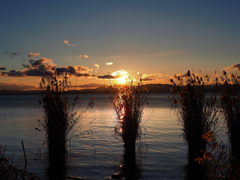 琵琶湖の風景20221218-ｂ