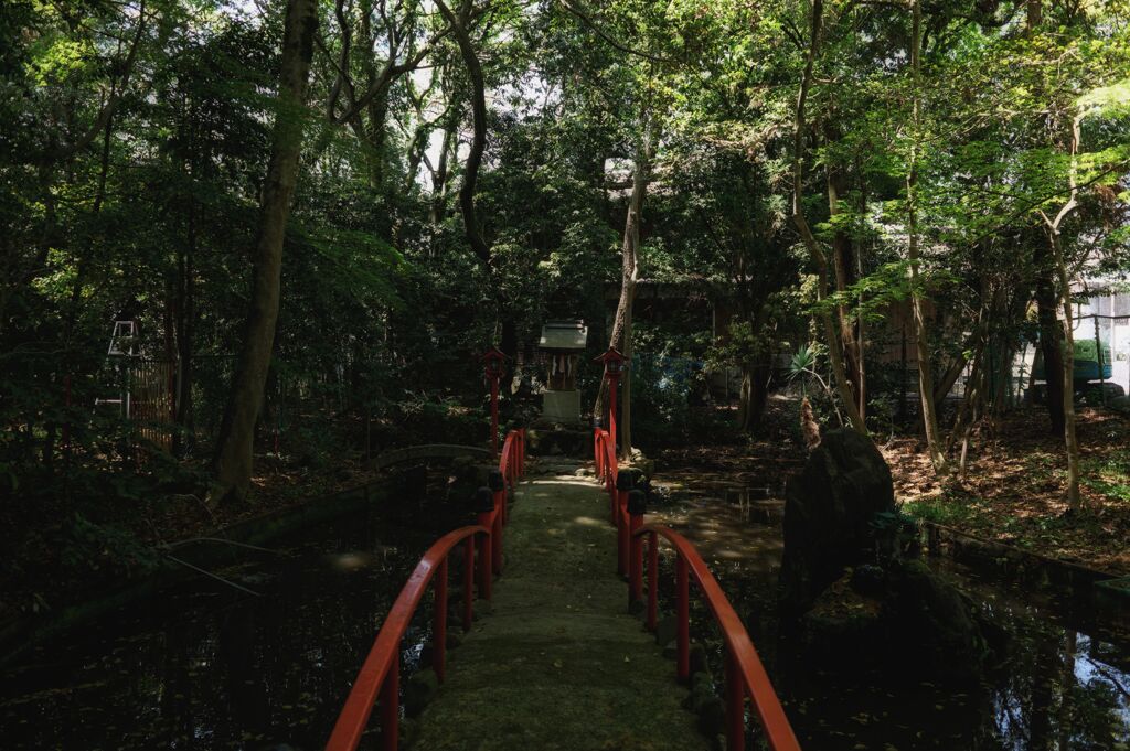 新緑の神社