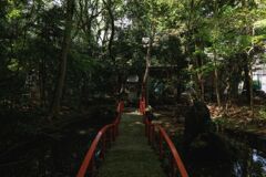 新緑の神社