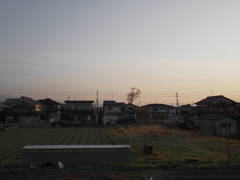 田舎の風景