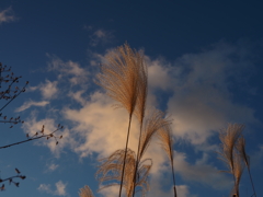 青空を見上げる