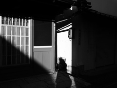 自分の影