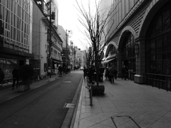 京都市内20200301