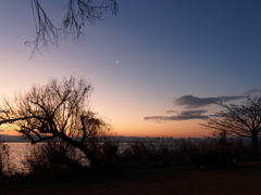 夜明け前の琵琶湖と三日月