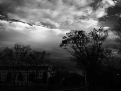 冬の空