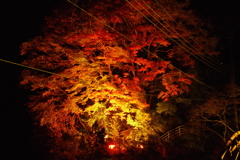 85E1A2C0-8B6C-4AFB-B618-0DB1277FCDFA