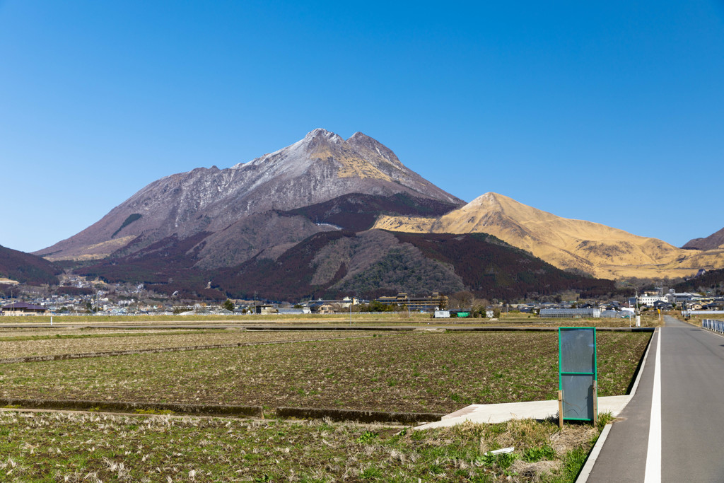 初春の由布岳