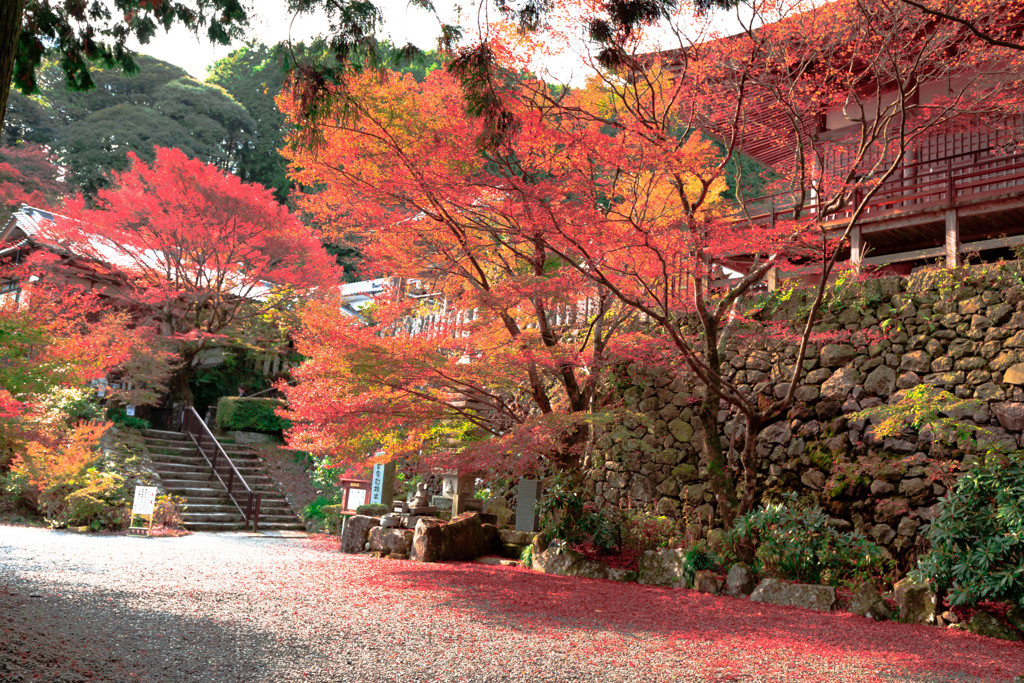 紅葉の寺