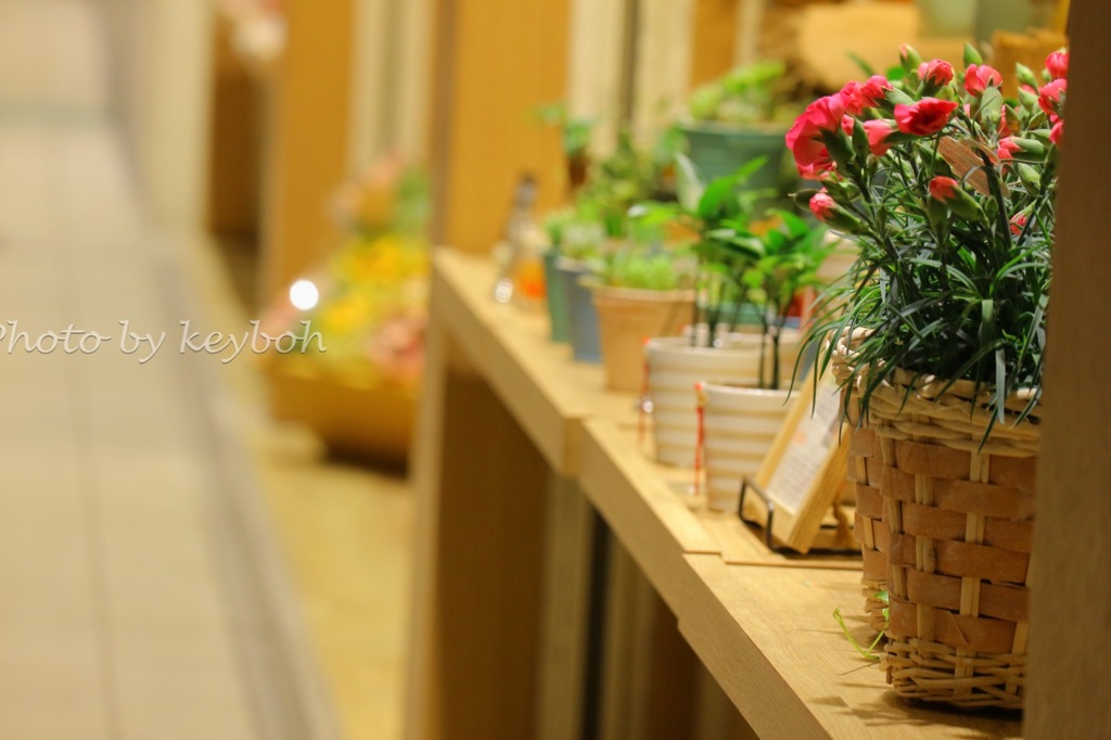 花屋のある通り