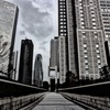 中心へと繋がる道