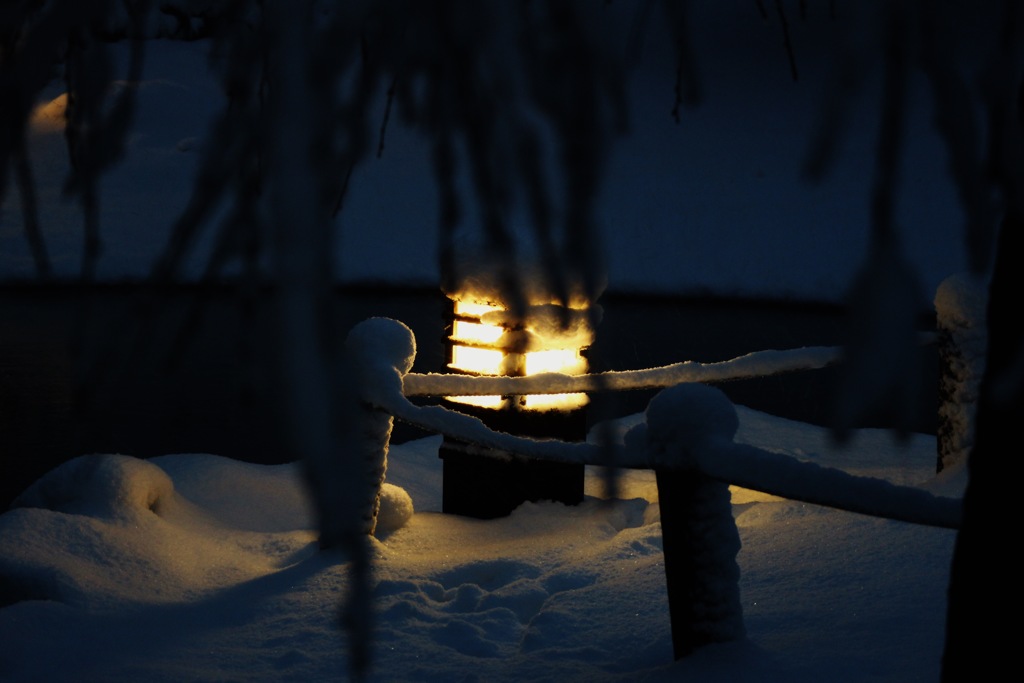 雪を照らす