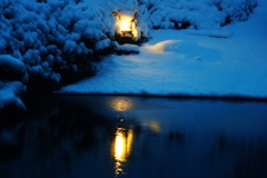 凍える池を灯す