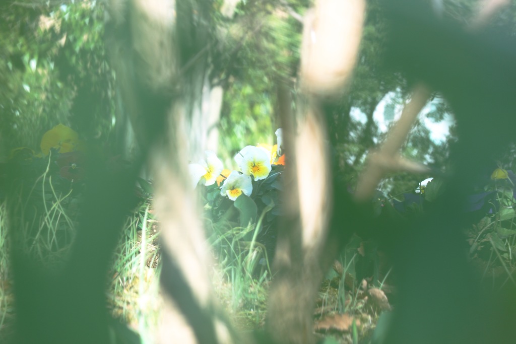 間隙