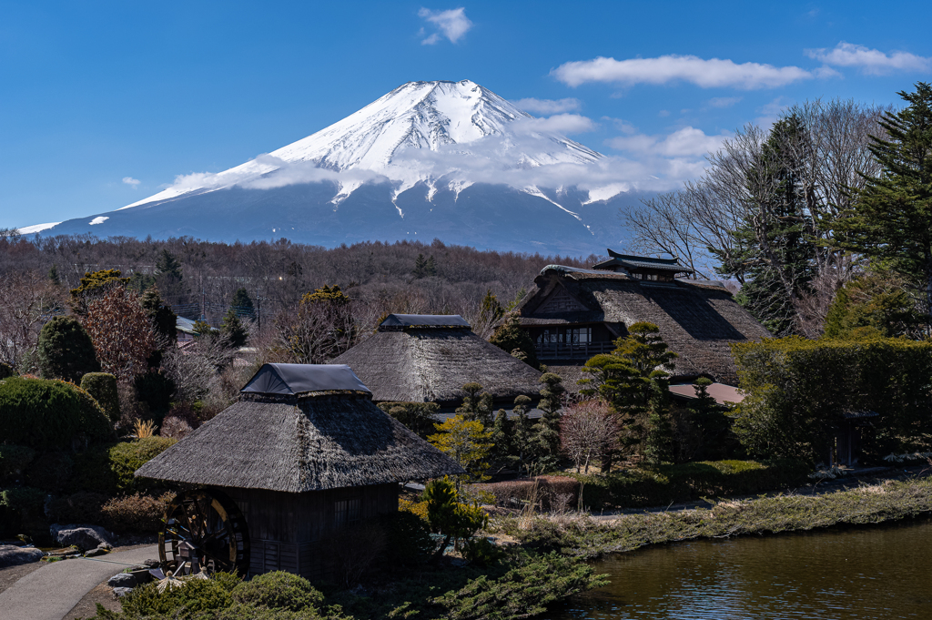 忍野からの富士山