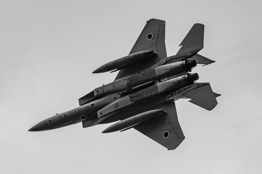 F-15J