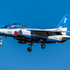 Blue Impulse 2番機