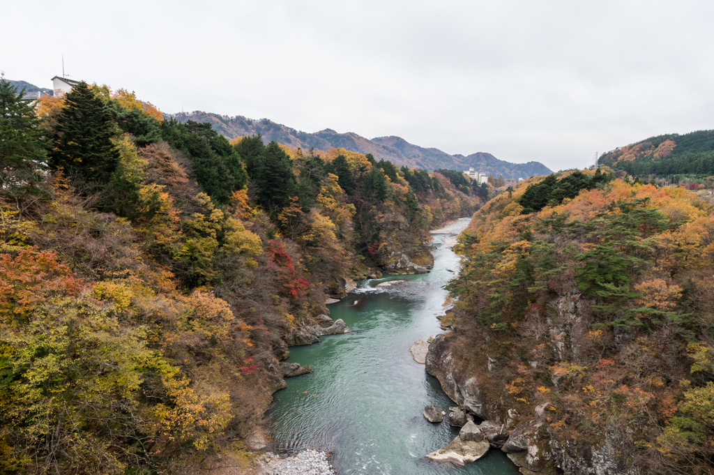 紅葉